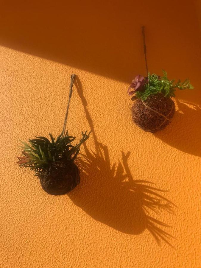 Cabanas Apartment